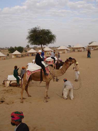 Robert, Shelley Carly on camel.  Donna mountinig camel.