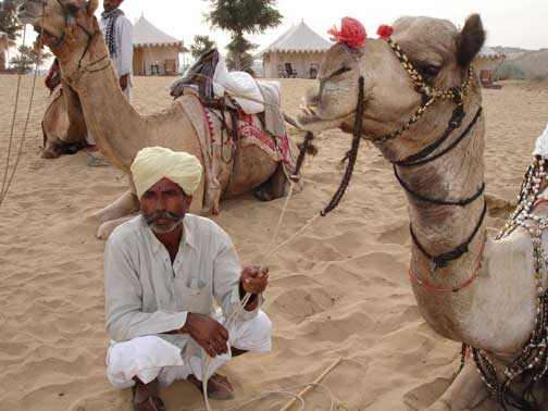 Handler with camel.