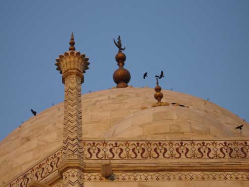 Close up of domed roof of Taj Mahal.